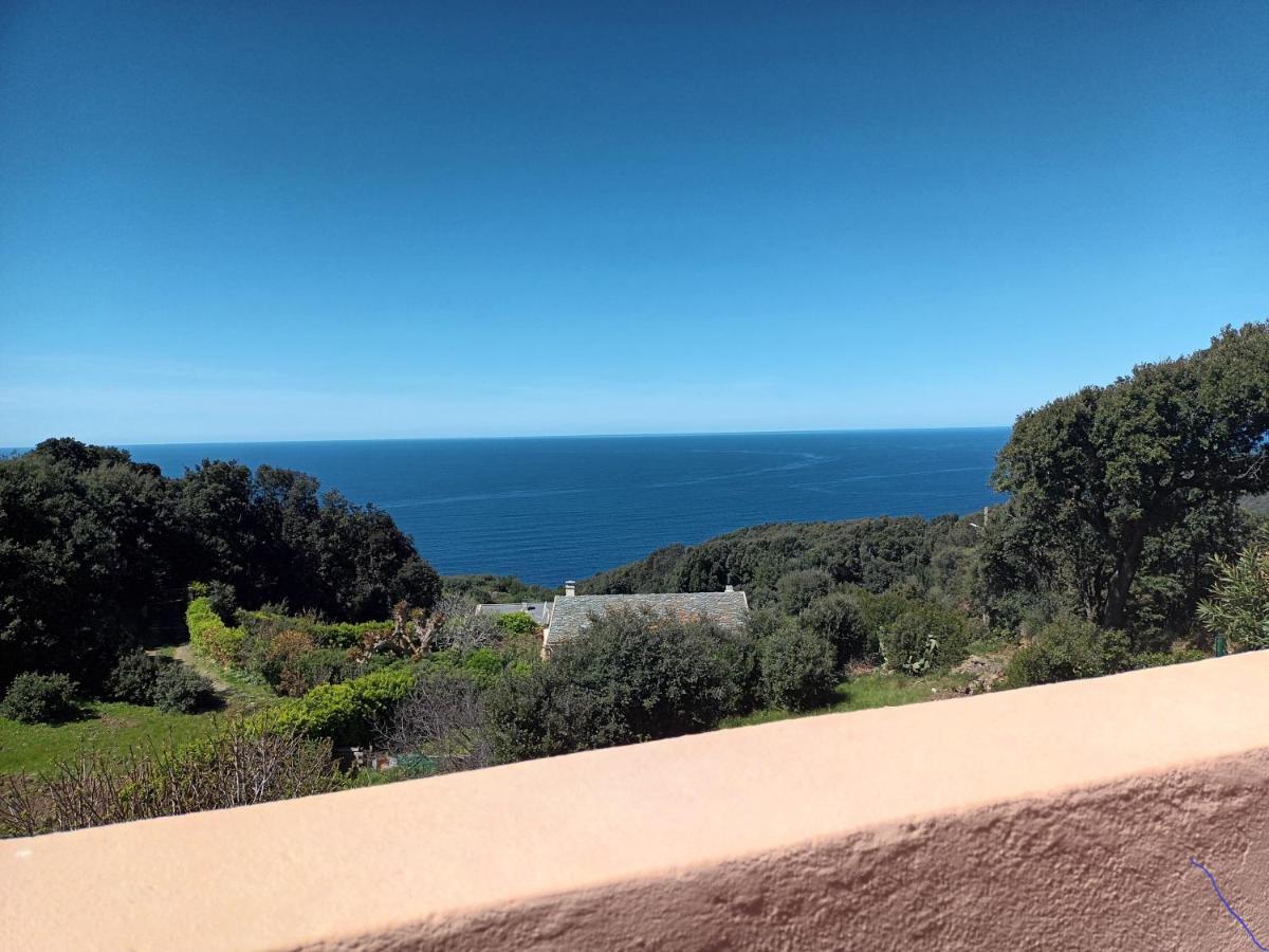 Azureo - Terrasse Du Golfe Villa Morsiglia Kültér fotó